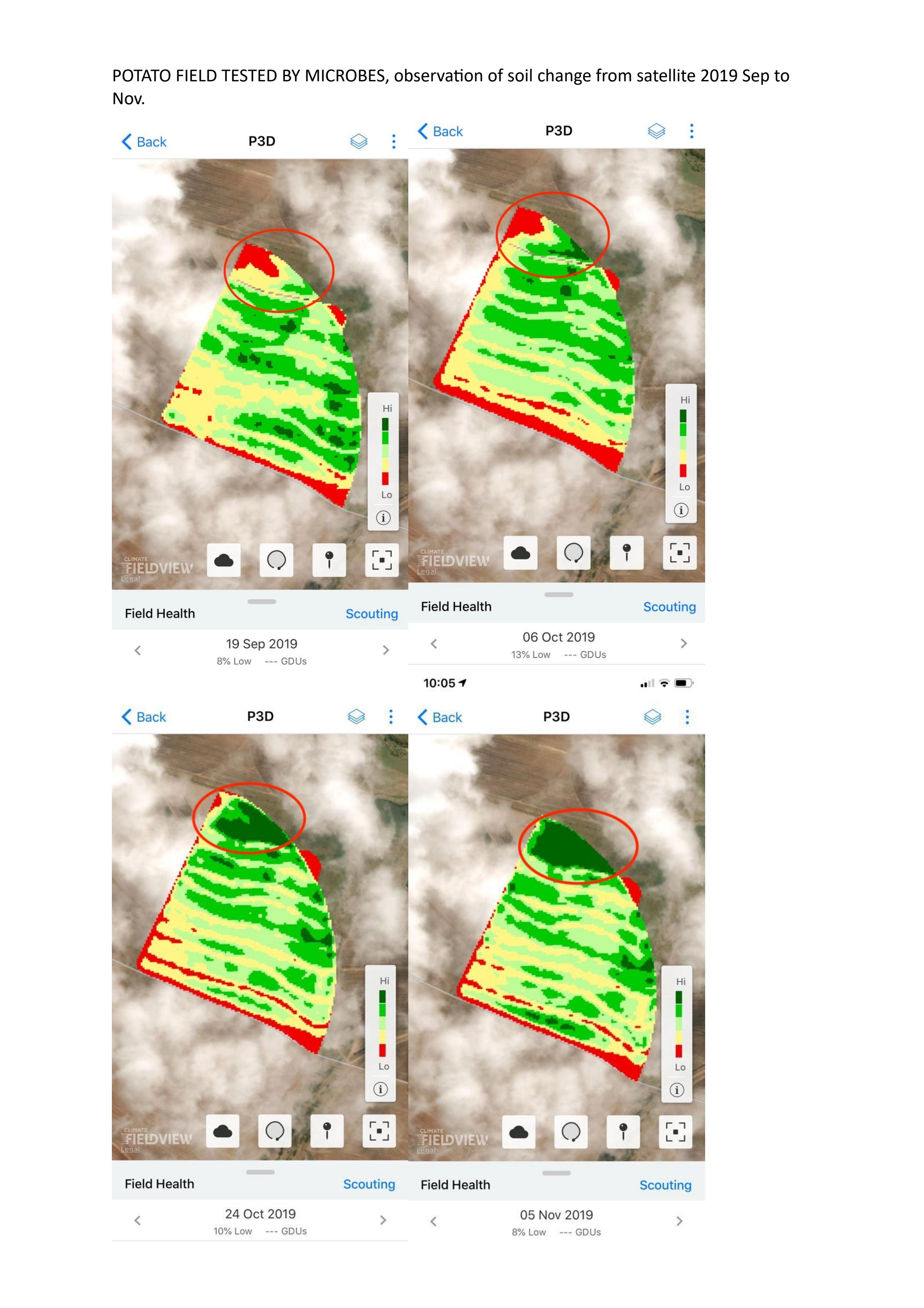 Satellite field health imagery of a potato field from September to November 2019 showing the circled deficient area turning dark green after MicrobeBio application